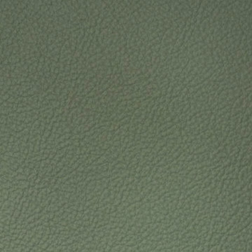 Sierra-1259 glide